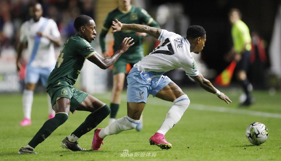 提供了新的 提供了新的